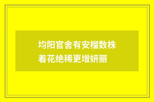 均阳官舍有安榴数株着花绝稀更增妍丽