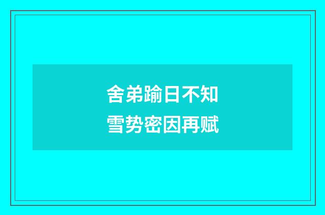 舍弟踰日不知雪势密因再赋