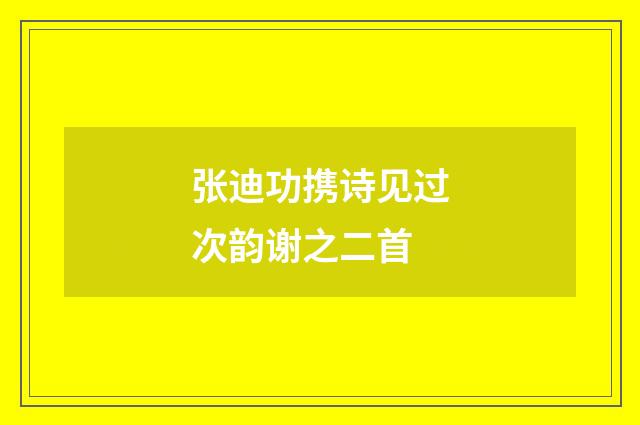 张迪功携诗见过次韵谢之二首