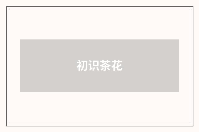 初识茶花