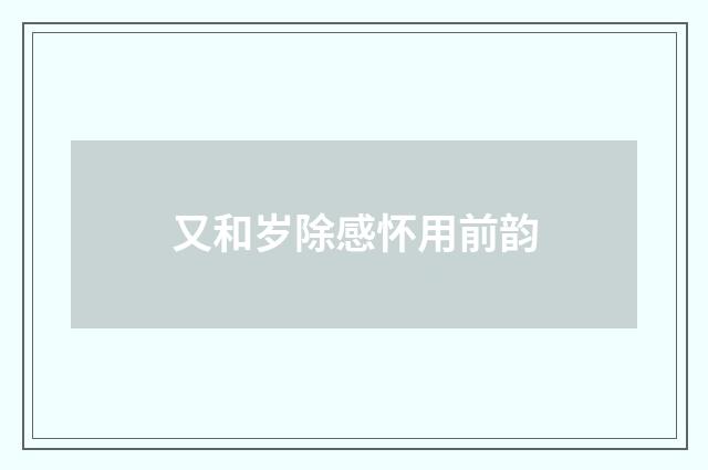 又和岁除感怀用前韵