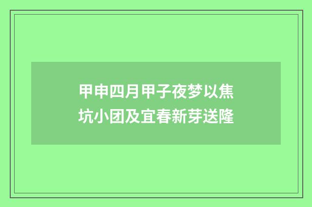 甲申四月甲子夜梦以焦坑小团及宜春新芽送隆