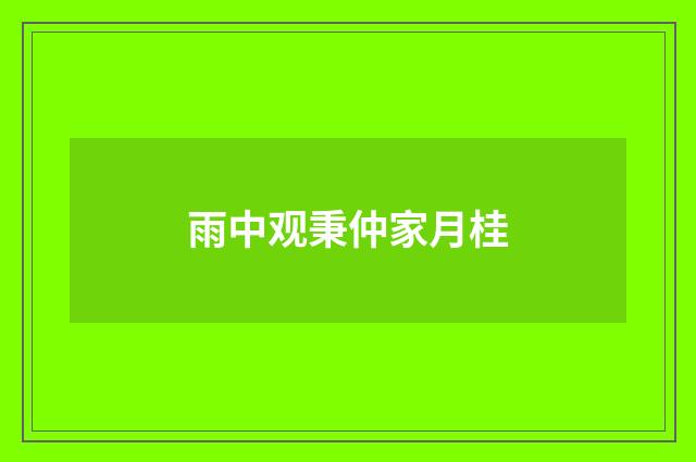 雨中观秉仲家月桂