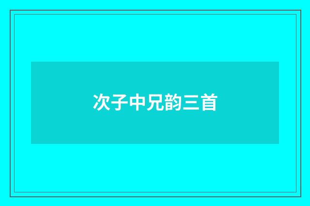 次子中兄韵三首