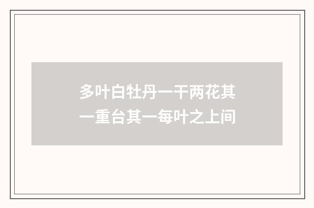 多叶白牡丹一干两花其一重台其一每叶之上间