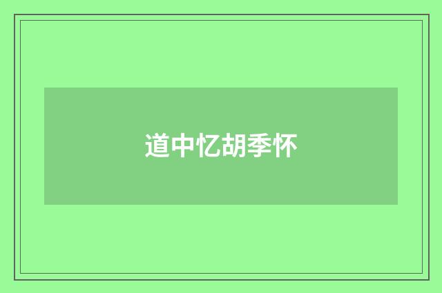 道中忆胡季怀