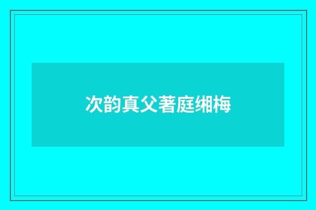 次韵真父著庭缃梅