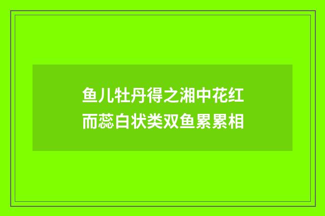 鱼儿牡丹得之湘中花红而蕊白状类双鱼累累相
