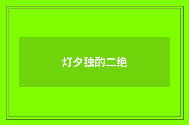 灯夕独酌二绝