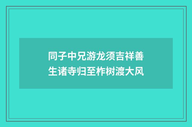 同子中兄游龙须吉祥善生诸寺归至柞树渡大风