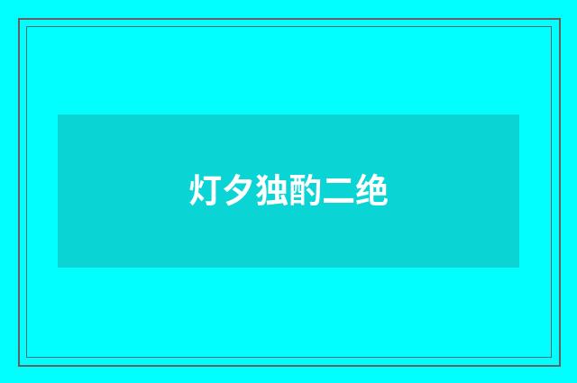 灯夕独酌二绝
