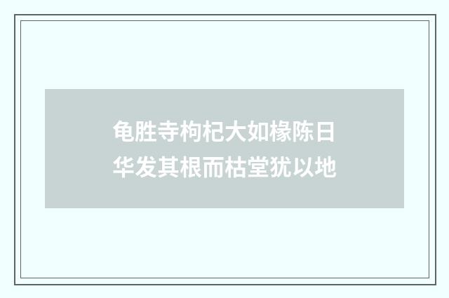 龟胜寺枸杞大如椽陈日华发其根而枯堂犹以地