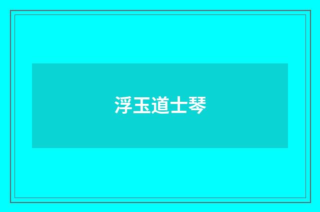 浮玉道士琴