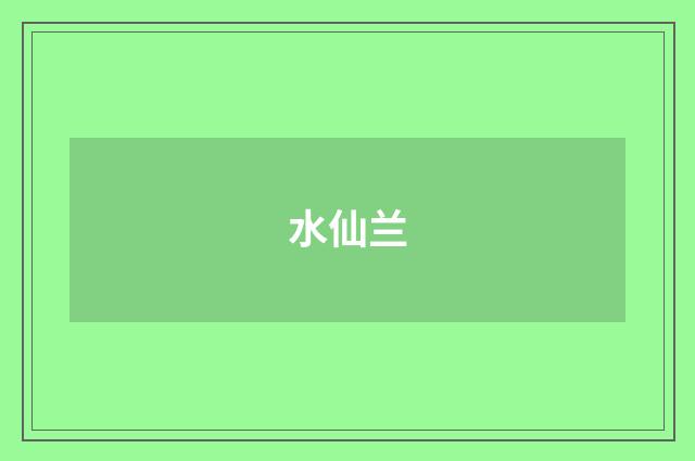 水仙兰