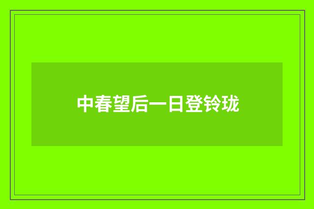 中春望后一日登铃珑