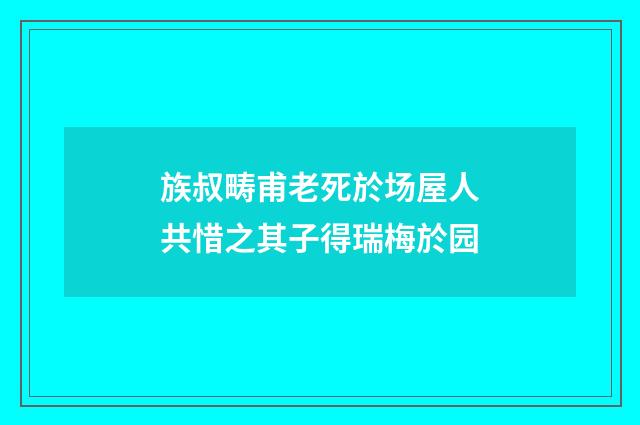 族叔畴甫老死於场屋人共惜之其子得瑞梅於园