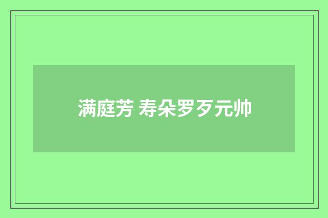 满庭芳 寿朵罗歹元帅