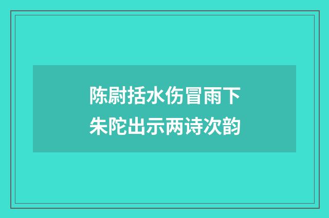 陈尉括水伤冒雨下朱陀出示两诗次韵