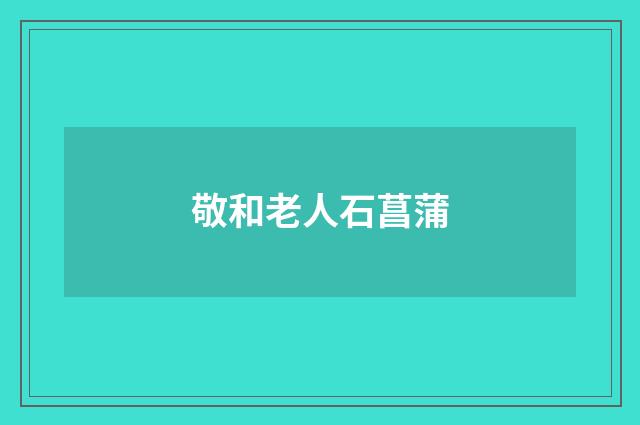 敬和老人石菖蒲