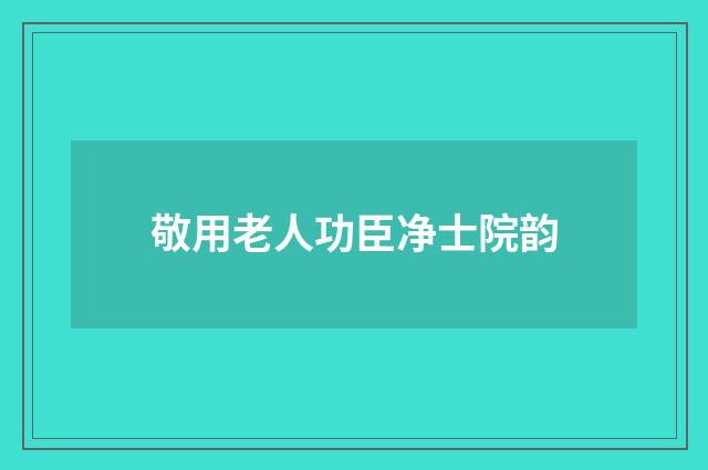 敬用老人功臣净士院韵