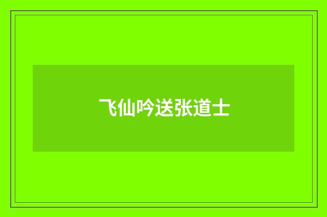 飞仙吟送张道士