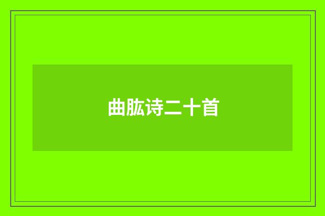 曲肱诗二十首
