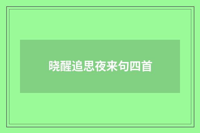 晓醒追思夜来句四首