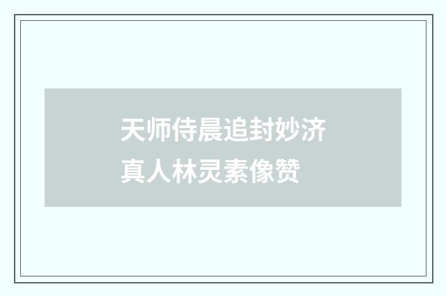 天师侍晨追封妙济真人林灵素像赞