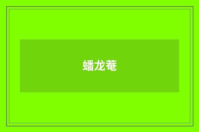 蟠龙菴