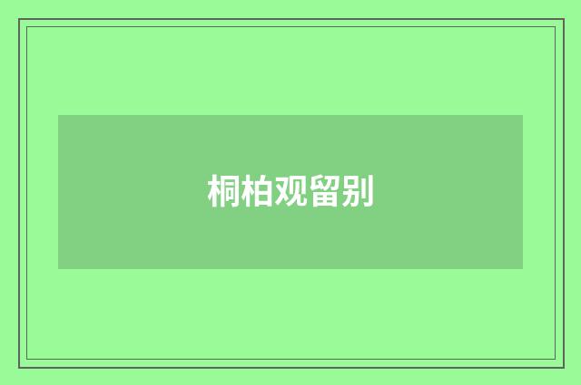 桐柏观留别