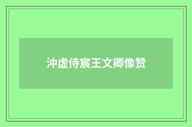 沖虚侍宸王文卿像赞