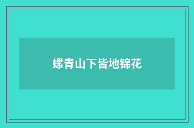 螺青山下皆地锦花