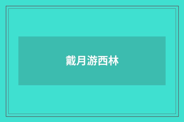 戴月游西林