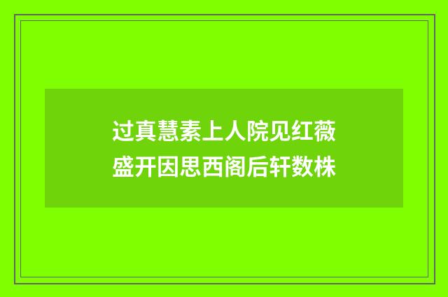 过真慧素上人院见红薇盛开因思西阁后轩数株