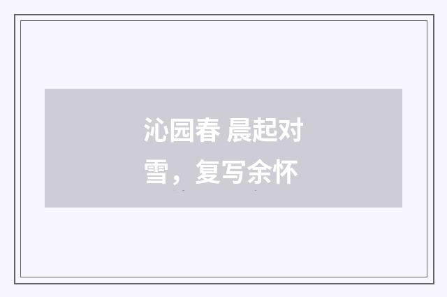 沁园春 晨起对雪，复写余怀