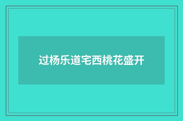 过杨乐道宅西桃花盛开