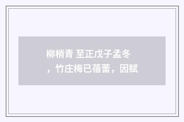 柳梢青 至正戊子孟冬，竹庄梅已蓓蕾，因赋