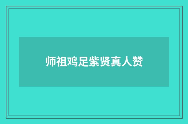师祖鸡足紫贤真人赞