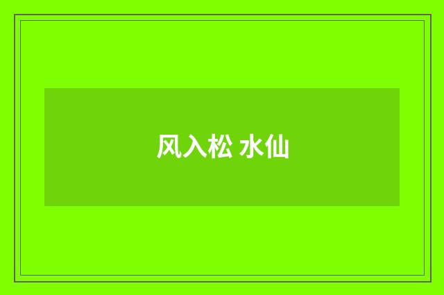 风入松 水仙