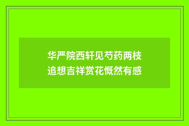 华严院西轩见芍药两枝追想吉祥赏花慨然有感
