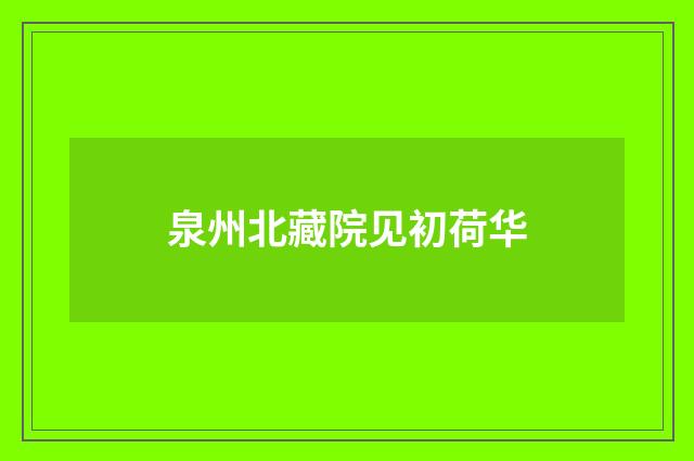 泉州北藏院见初荷华