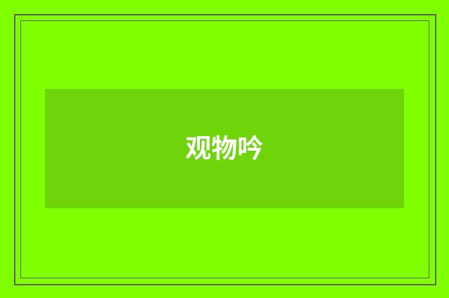 观物吟