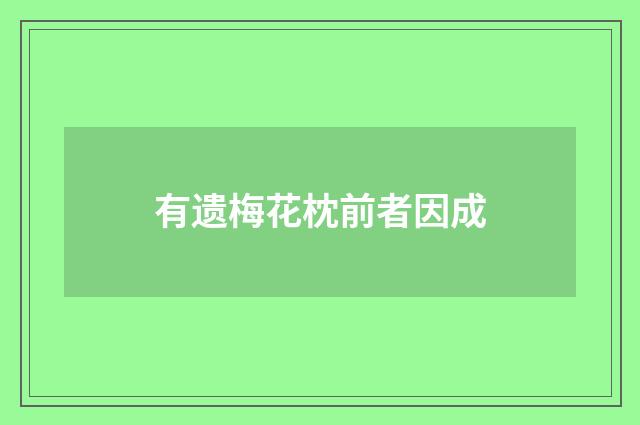 有遗梅花枕前者因成