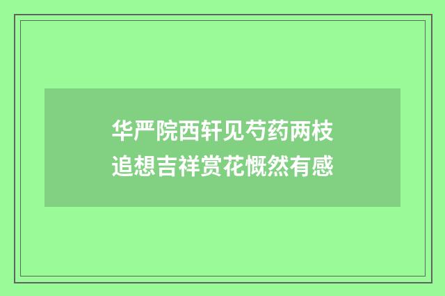 华严院西轩见芍药两枝追想吉祥赏花慨然有感