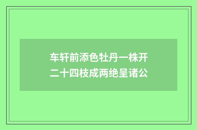 车轩前添色牡丹一株开二十四枝成两绝呈诸公