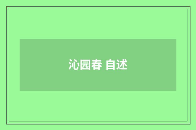 沁园春 自述