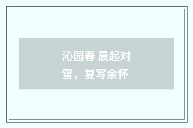 沁园春 晨起对雪，复写余怀