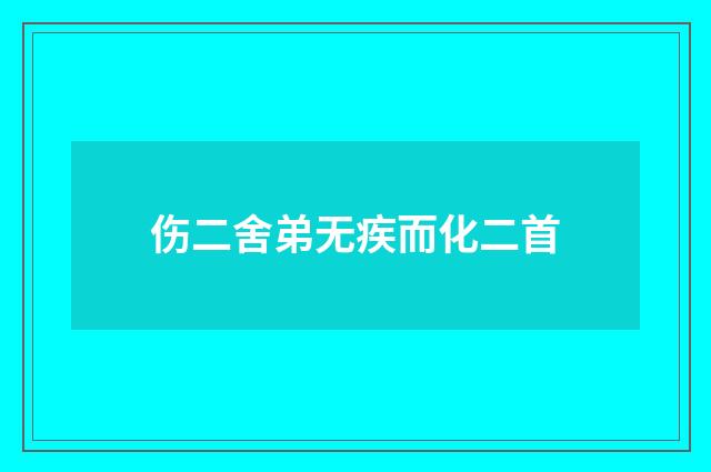 伤二舍弟无疾而化二首