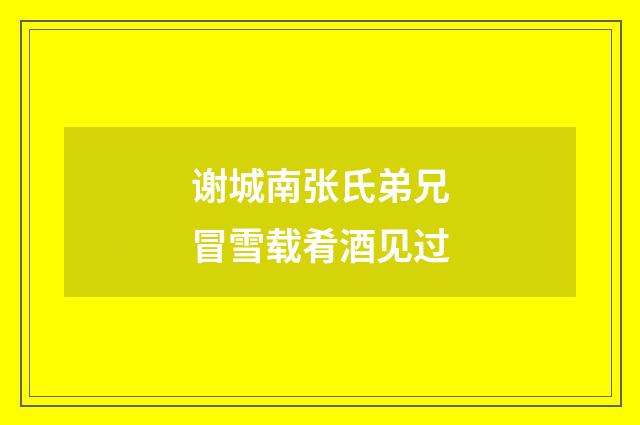 谢城南张氏弟兄冒雪载肴酒见过