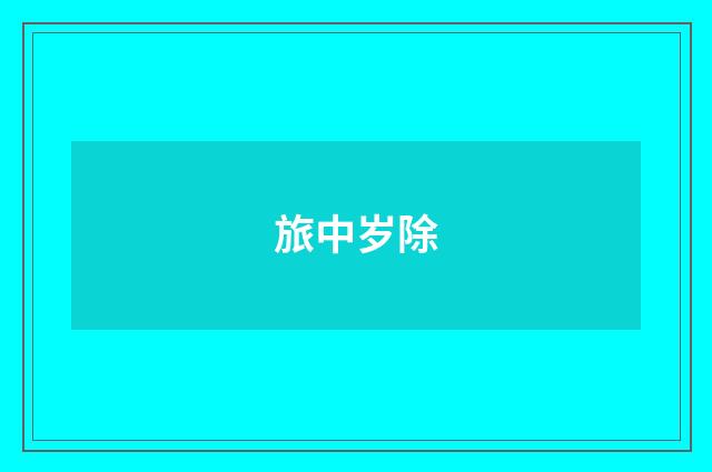 旅中岁除